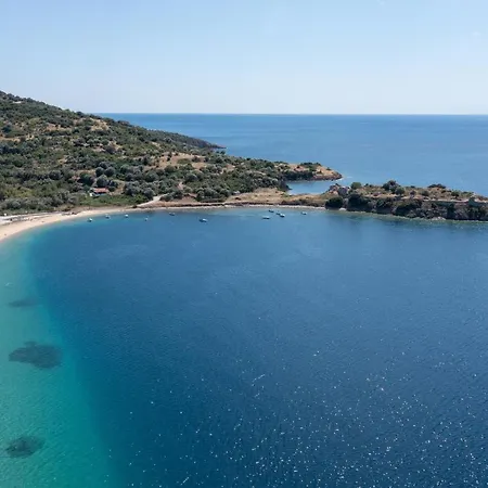 Jolandas Τορώνη