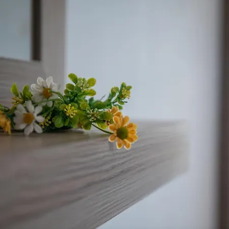 アパート Jolandas *