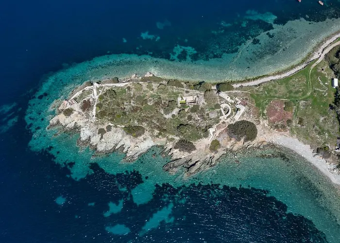 Jolandas Торони