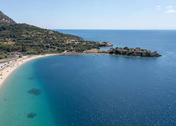 Jolandas Торони